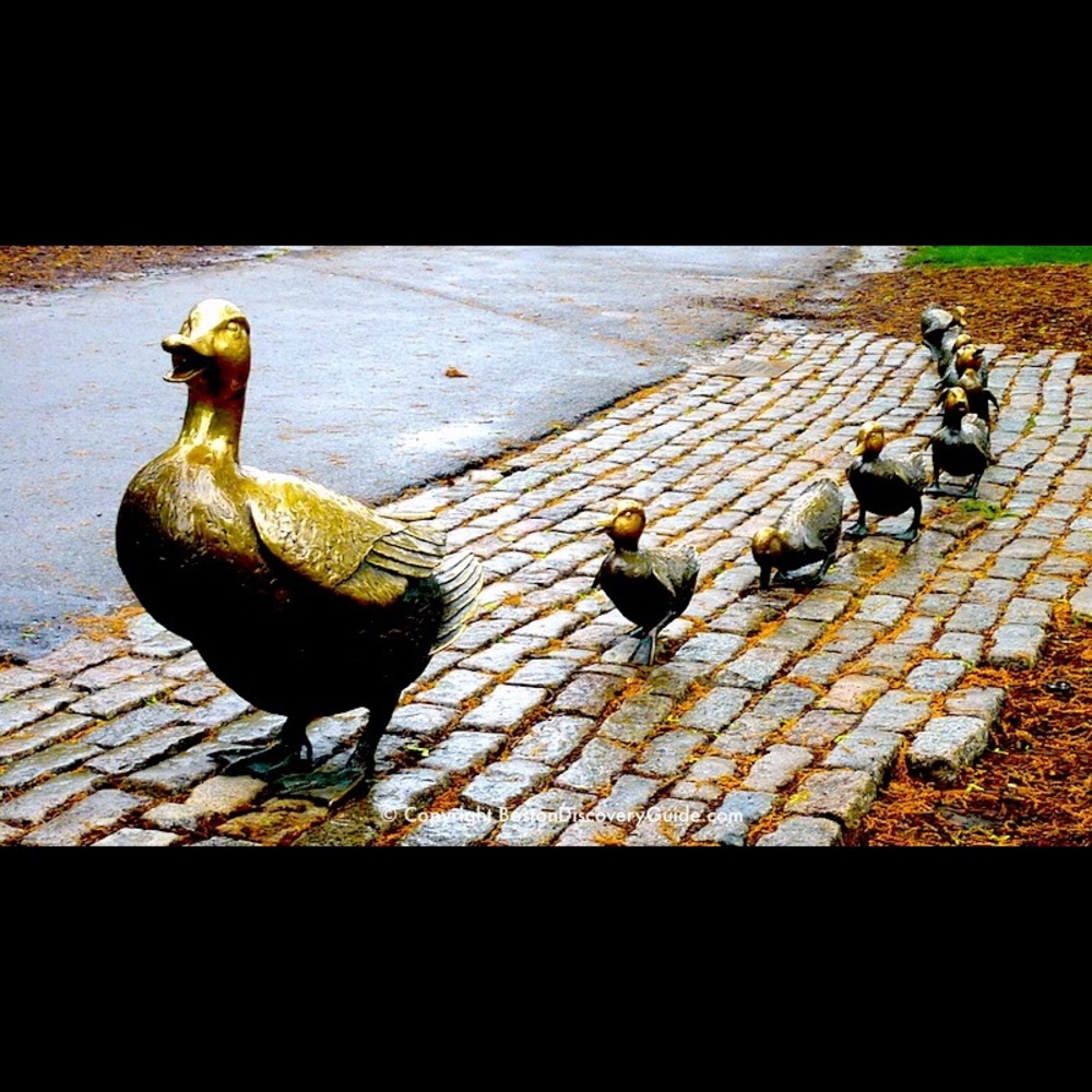 Meet your Posher, Nae -🚫Smoke- 🚫Pets - 🚫 Trades